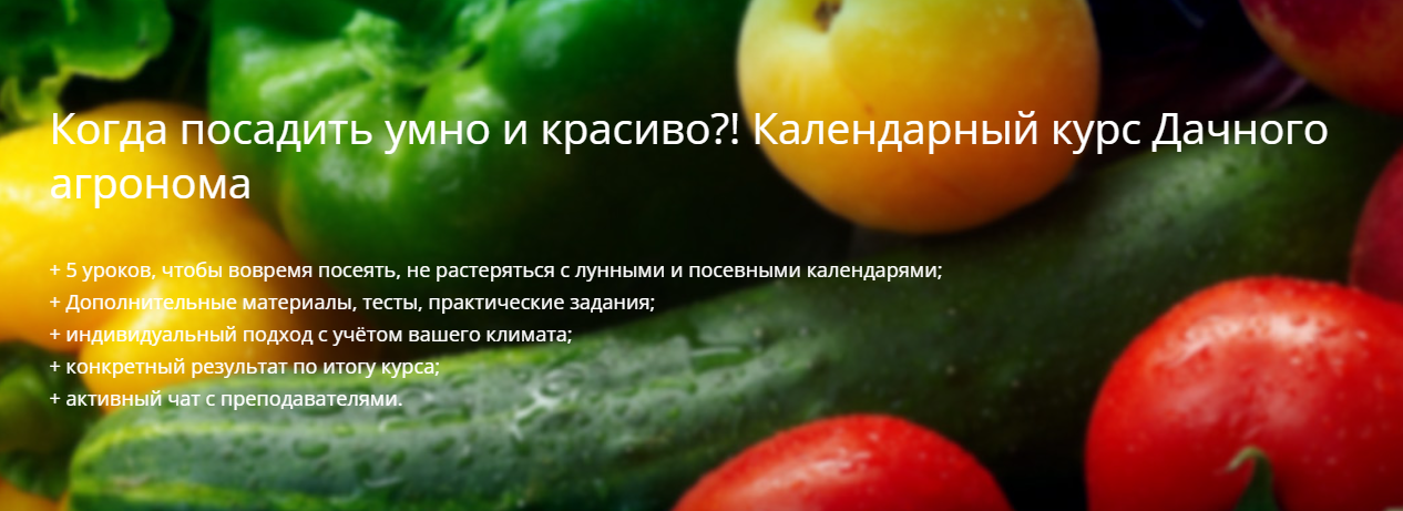 [Дачный агроном] Когда посадить умно и красиво_! К_0.png